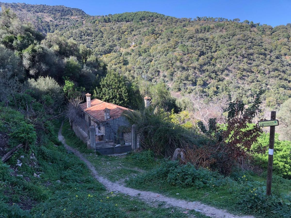 הוילה Benarrabá Molino De Santos מראה חיצוני תמונה