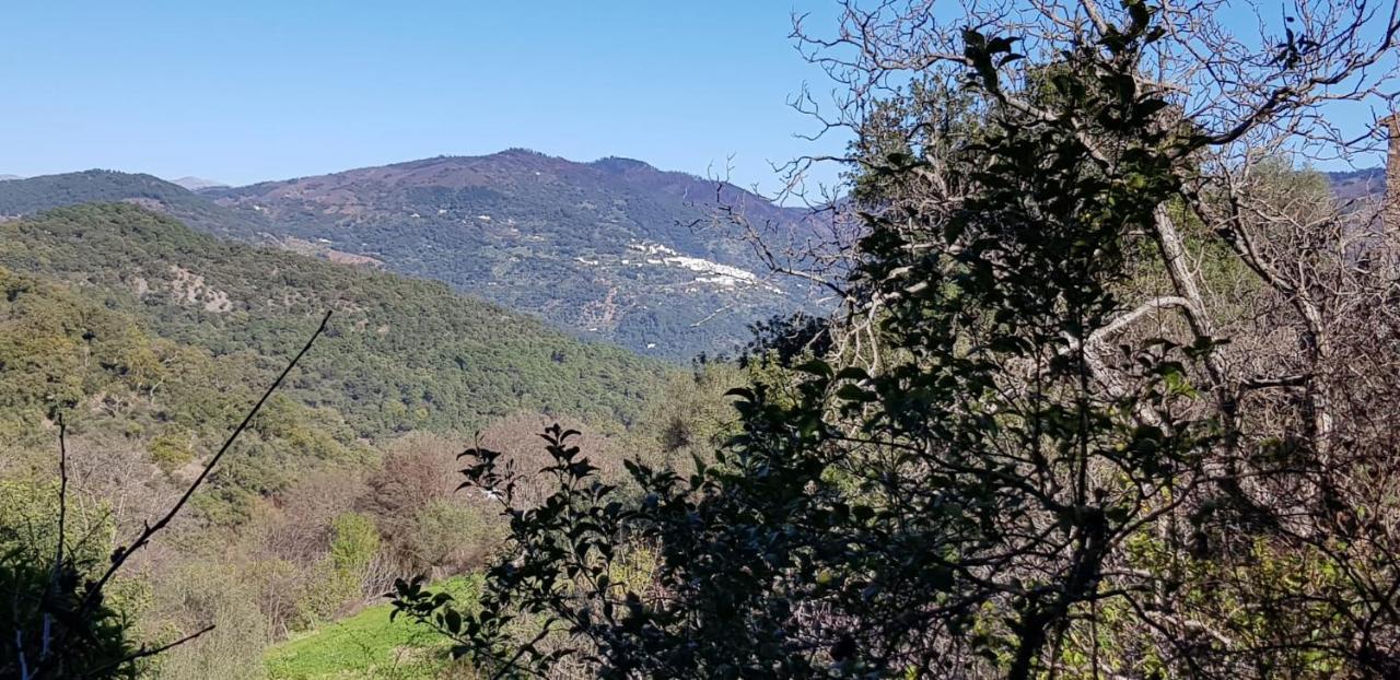 הוילה Benarrabá Molino De Santos מראה חיצוני תמונה